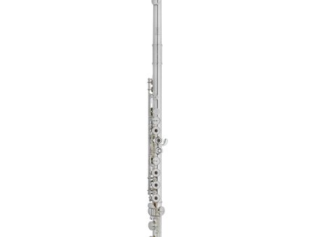 Haynes Classic Flute Q-Series Model Q1 Online Sale